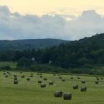 Camping Le Havre-de-la-Belle Montagne