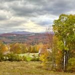 Four Springs Farm & Campground