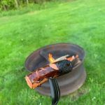 Jefferson Campground