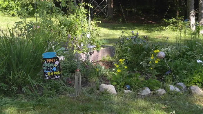 Groton Forest Rd Campground 7