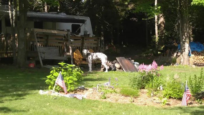 Groton Forest Rd Campground 1