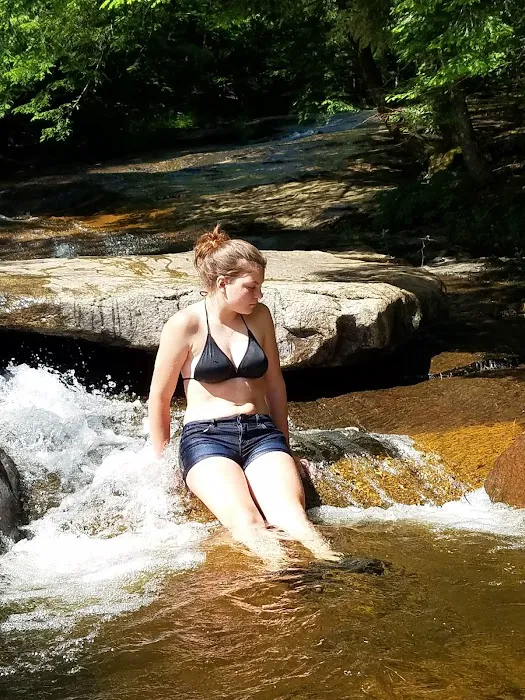 Bear Slide 3