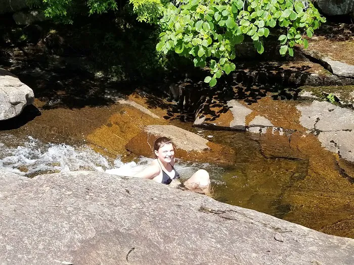 Bear Slide 1