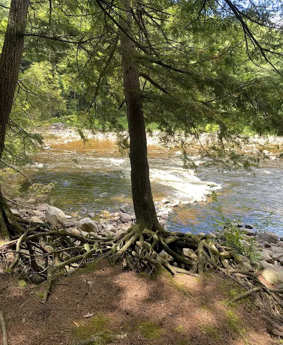 Sacandaga Campground 8