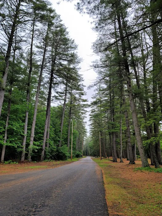 Sacandaga Campground 7