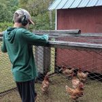 Peacocks Properties RV Park and Rentals