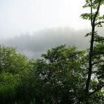 Mollidgewock State Park Campground