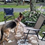 Four Seasons Campground