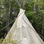 Cottonwood Camping & RV Park