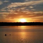 Wanderin Moose Campground