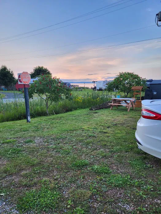 Camping Cedar Cove 7