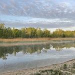 Karner Blue Campground