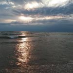 Pioneer Park Campground