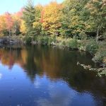 Soft Maple Campground