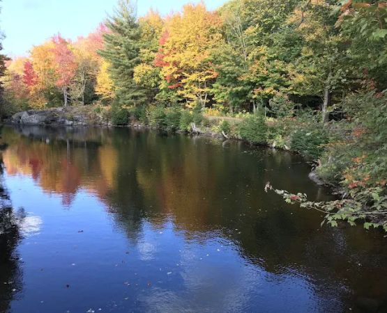 Soft Maple Campground