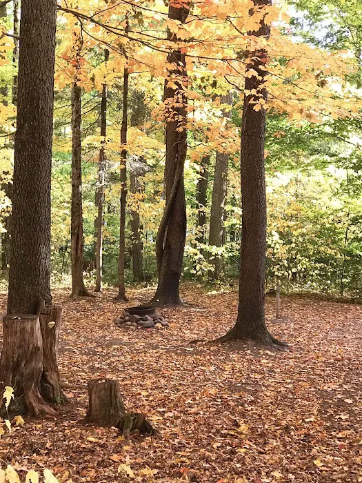 Soft Maple Campground 5