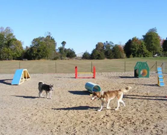 1000 Islands / Kingston KOA Holiday
