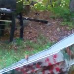 Wilson's Tent & Trailer Park