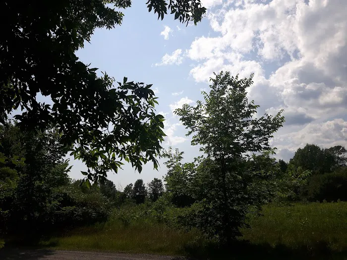 Loughborough Lake Holiday Park Campground 6