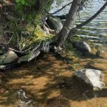 Shady Ridge Campground