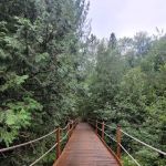 Camping rustique - Secteur lac Windigo