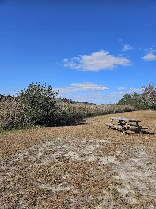 Old Stagecoach Campground 1