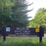 Belleplain State Forest