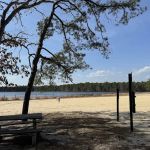 Bass River State Forest