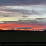 Sycamore Grove Farm RV Park and Campground