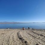 Havasu Landing Campground