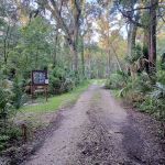 SWFWMD McNeil Group Campground