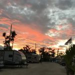 Royal Palm RV Park