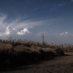 Doble PCT Trail Camp