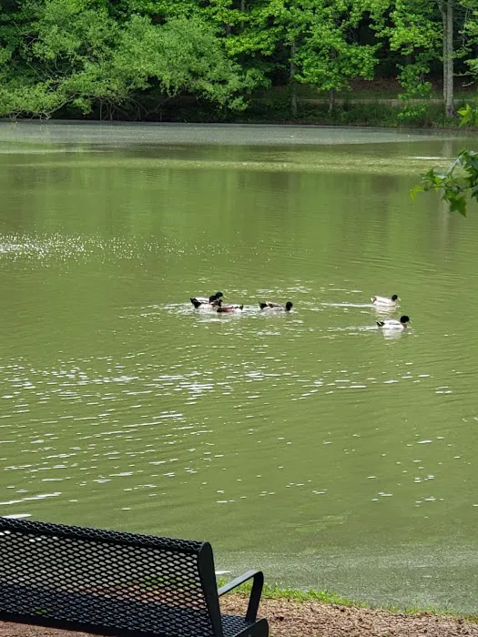 Camp T.N. Spencer Park 8