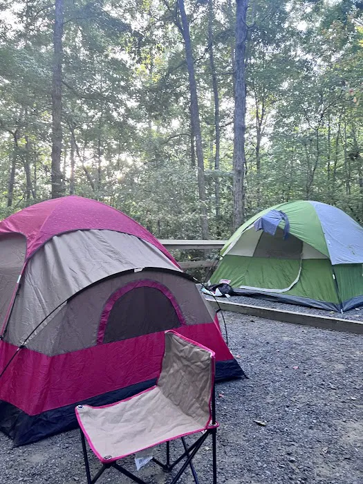 McDowell Campground 9