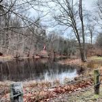 Hurd State Park River Camp