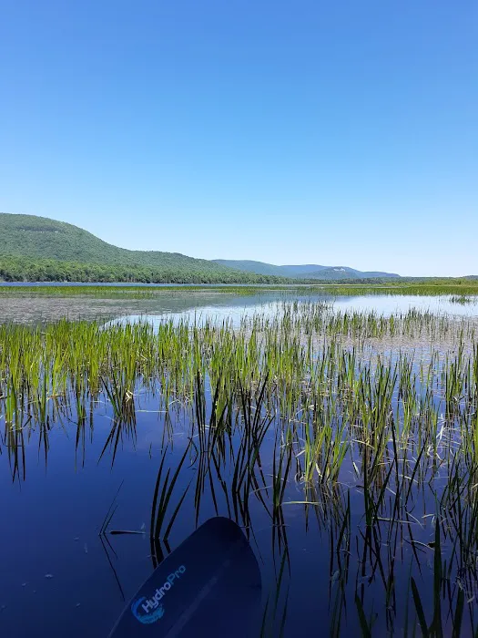 Cedar River Campsites 5