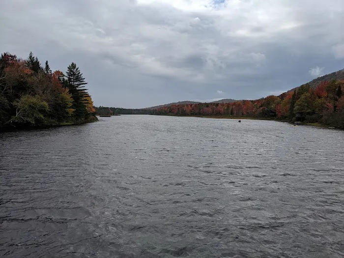 Cedar River Campsites 6