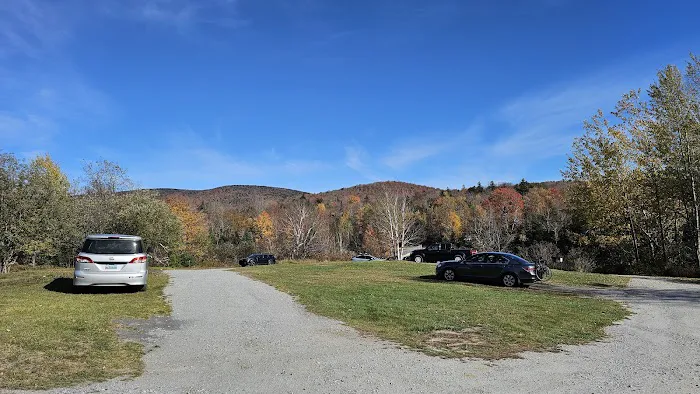 Cedar River Campsites 7