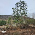 Glen-Hudson Campground