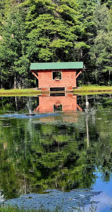 Royal Mountain Campground 1