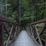 Big Creek Group Camp