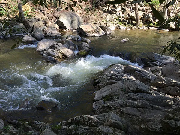 Creek Ridge Camping Cabins 1
