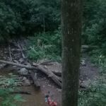 Old Forge Campground