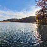 Yellowwood State Forest