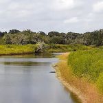 Myakka River State Park Youth Camp