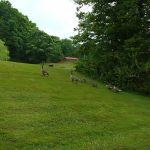 Beechnut Family Campground