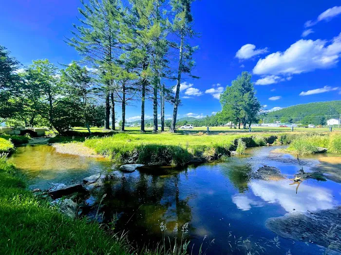 Big Mike's Creekside RV Resort 7