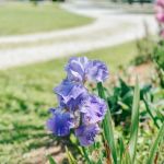 Mountain River Family Campground