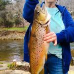 Buck Hill Campground